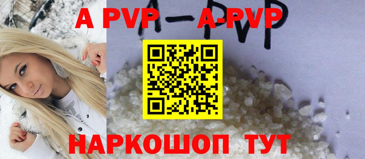 Альфа ПВП СК КРИС Великие Луки