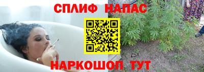 гашик Беслан