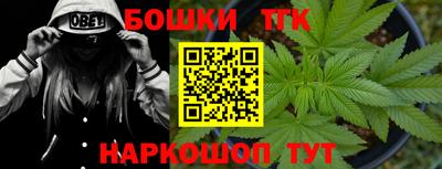 гашик Бийск