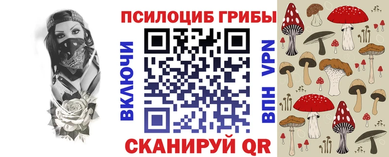 наркотики  Великие Луки  Галлюциногенные грибы Psilocybe 