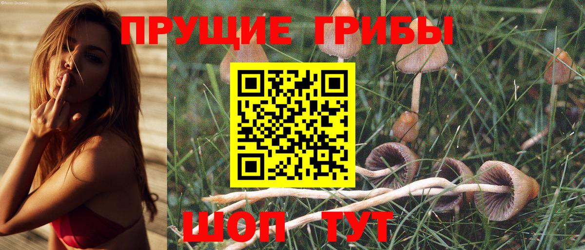 Псилоцибиновые грибы ЛСД  Вход с VPN  Великие Луки  Псилоцибиновые грибы GOLDEN TEACHER 