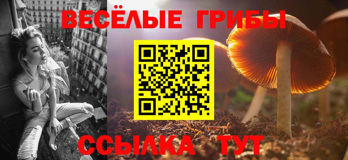 Псилоцибиновые грибы GOLDEN TEACHER  сколько стоит  Псилоцибиновые грибы Magic Shrooms  Великие Луки 