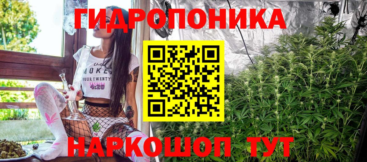 Канабис AK-47 Великие Луки